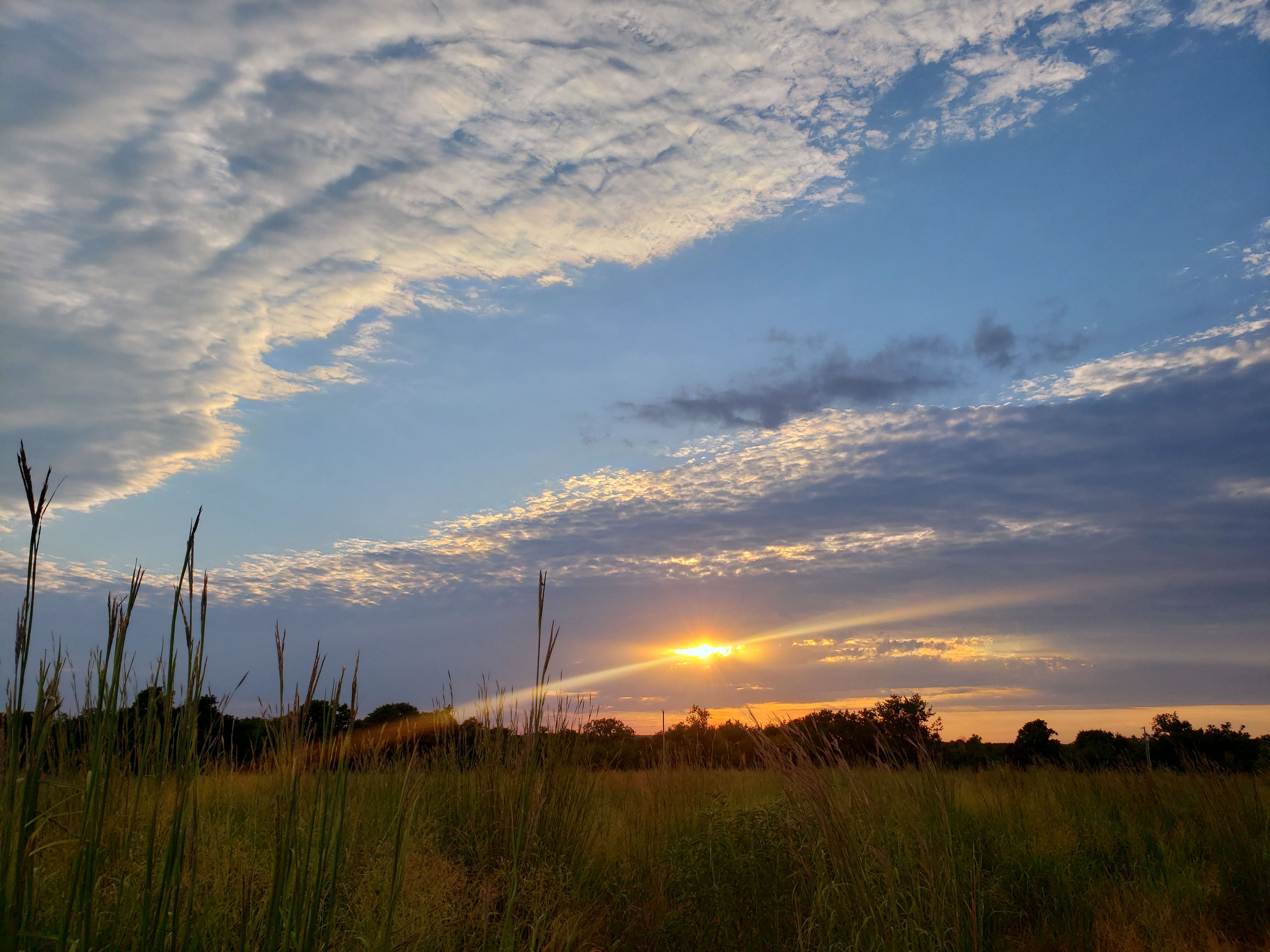 Late afternoon sun shining through a break in the clouds over a field of tall prairie grasses